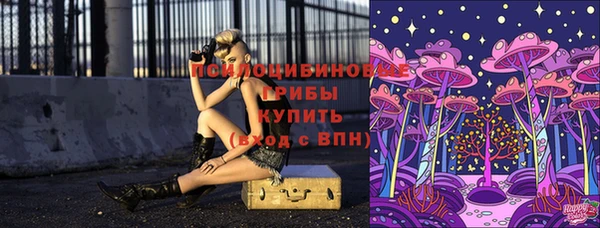 mdpv Богданович