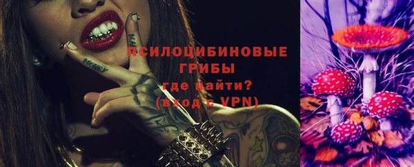 mdpv Богданович